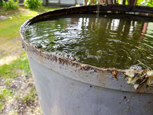 🦟 Are You a Mosquito Magnet? Here’s How to Fight Back.